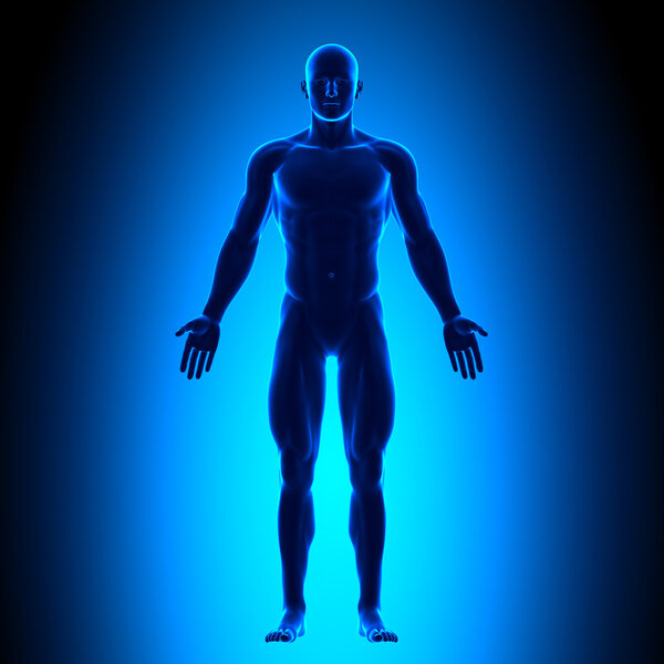 Blank Posture Front - Blue Medical Position