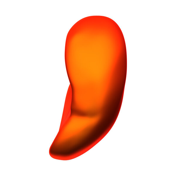 Селезенка - внутренние органы - изолированы на белом
