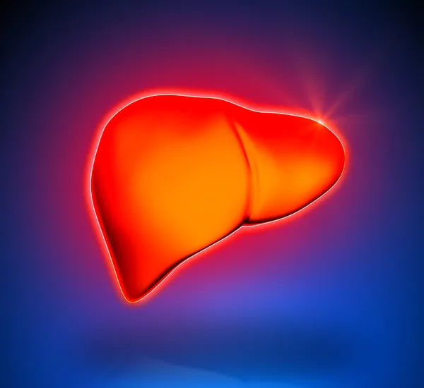 Karaciğer - iç organları - mavi arka plan — Stok fotoğraf
