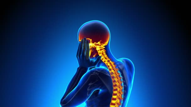 Dolor de columna vertebral masculino - Dolor de vértebras — Vídeo de stock