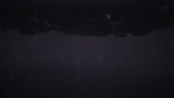 Tempesta di fulmini con pioggia — Video Stock