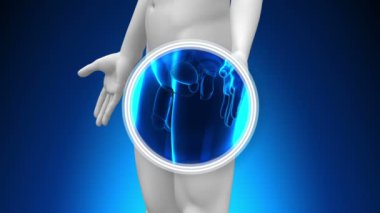 tıbbi x-ray tarama - penis