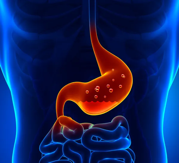 Acido gastrico — Foto Stock