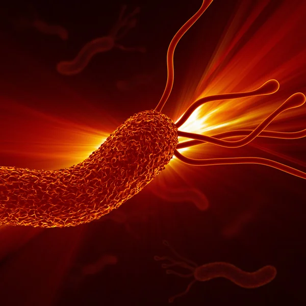 Helicobacter Pylori - Primo piano Zoom dettagliato — Foto Stock