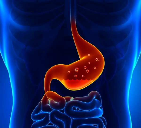Gyomorsav Stock Fotó
