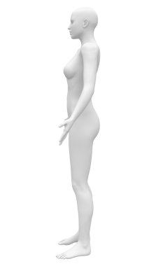 Blank Anatomy Female Figure - Side view clipart