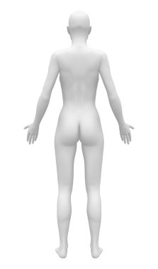 Blank Anatomy Female Figure - Back view clipart