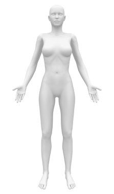 Blank Anatomy Female Figure - Front view clipart
