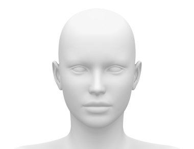 kadın baş kas anatomisi - Önden Görünüm