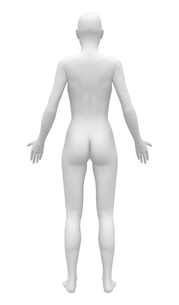Blank Anatomy Female Figure - Back view
