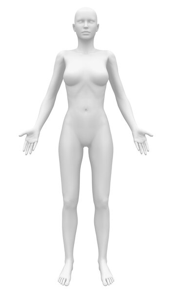 Blank Anatomy Female Figure - Front view