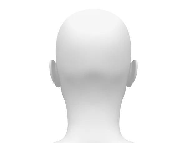 Anatomía muscular de la cabeza femenina - Vista posterior —  Fotos de Stock