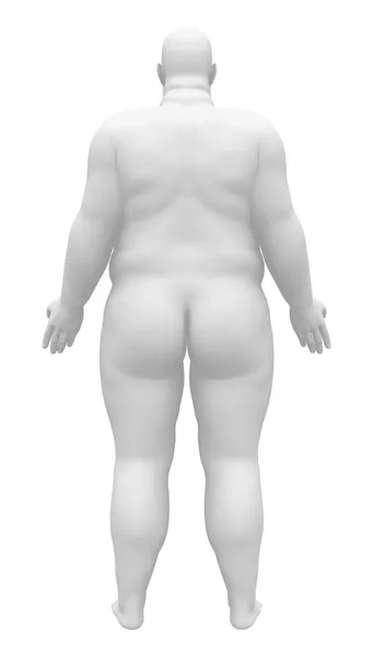 Figura masculina obesa - Vista posterior — Foto de Stock