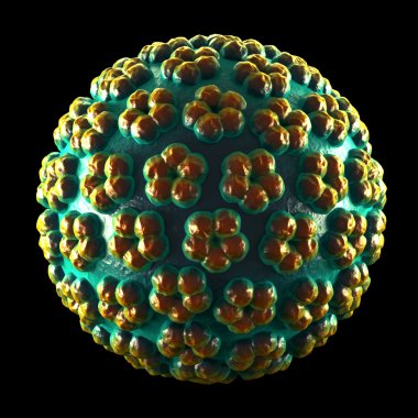 siyah üzerine izole papilloma virüs - hpv-