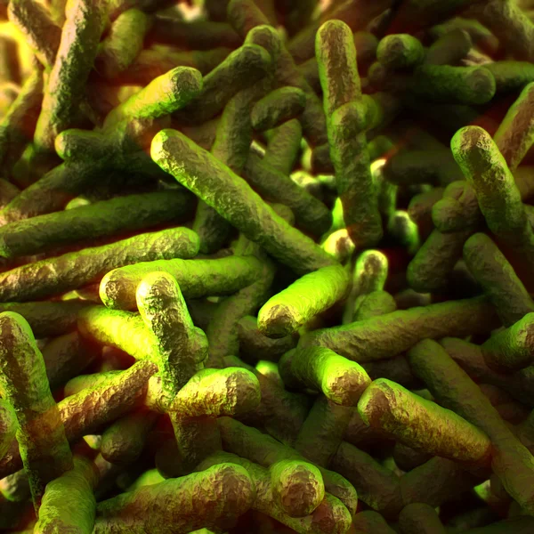 リステリア菌 — ストック写真