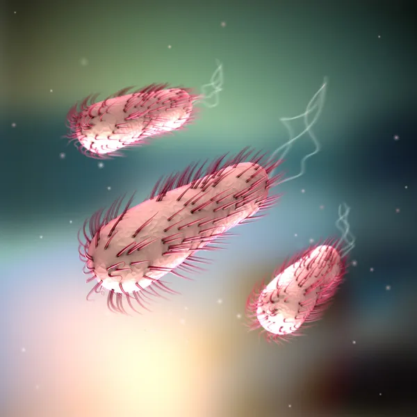 E. coli - escherichia coli — Zdjęcie stockowe