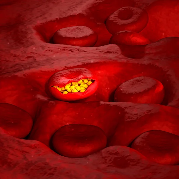 Malaria Virus Cell - Illustrazione 3D — Foto Stock