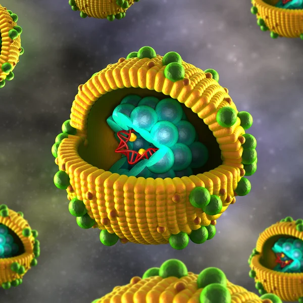Komórki wirusa zapalenia wątroby typu - w szczegółowy widok — Zdjęcie stockowe
