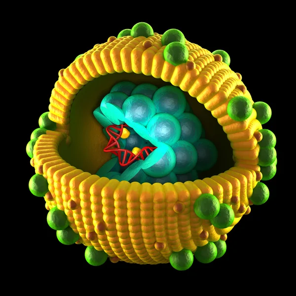 Вирусная клетка гепатита - изолирована на черном — стоковое фото