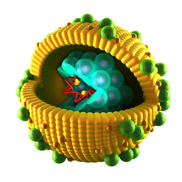 Hepatitis a vírus sejt - elszigetelt fehér — Stock Fotó