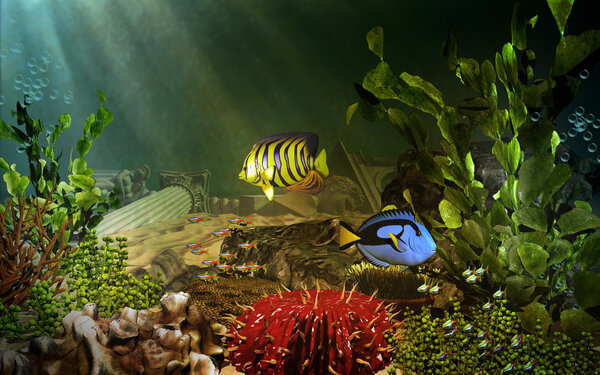 Подводный пейзаж с тихоокеанскими рыбами
