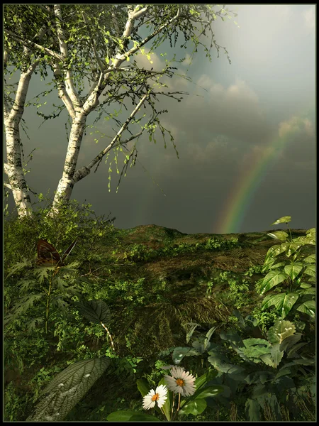 Groene weide na regen — Stockfoto