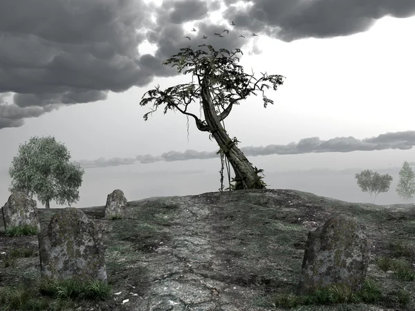 Colline du cimetière — Photo