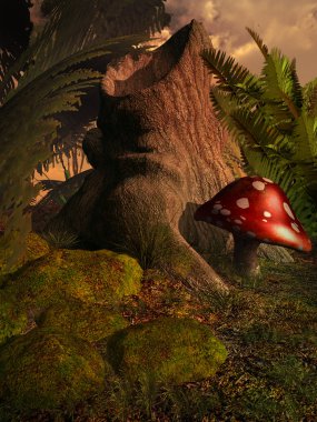 mantar ve yosunlu kayalar