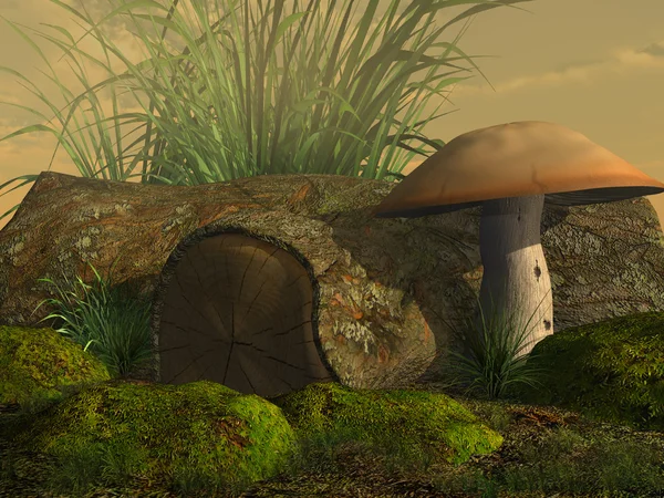 蘑菇和老树日志 — 图库照片