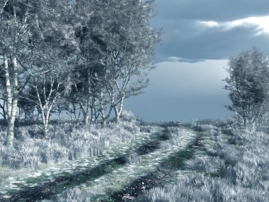 Kışın orman yolu
