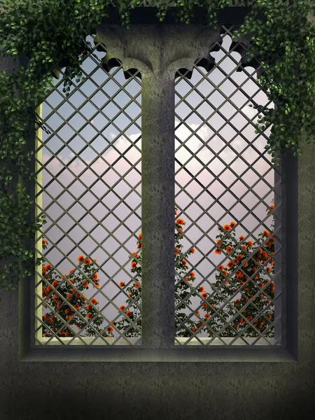 Gothic window in the evening — Stock Photo, Image