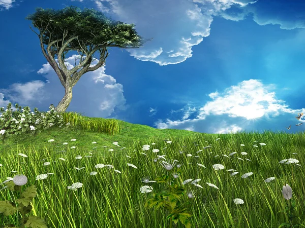 Akasya ağacı ile yeşil çayır — Stok fotoğraf