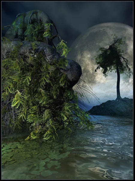 Fullmåne i regnskogen — Stockfoto