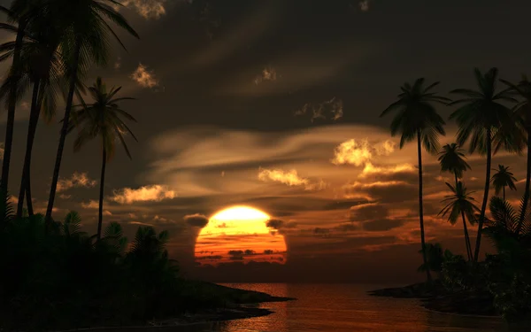 Sunset in the tropics — Stock Photo, Image