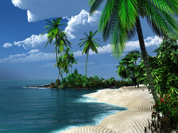 stock image Sandy beach in the tropics