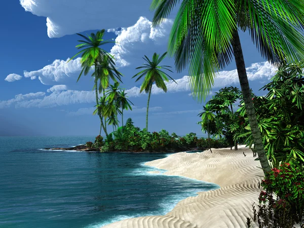 Sandy beach in the tropics — Stock Photo, Image