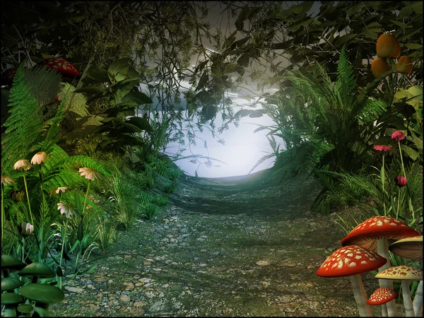 Magic passage in an old forest — Stock Image Magic passage in an old forest Stock Image