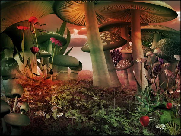 童话世界风光与蘑菇 — 图库照片
