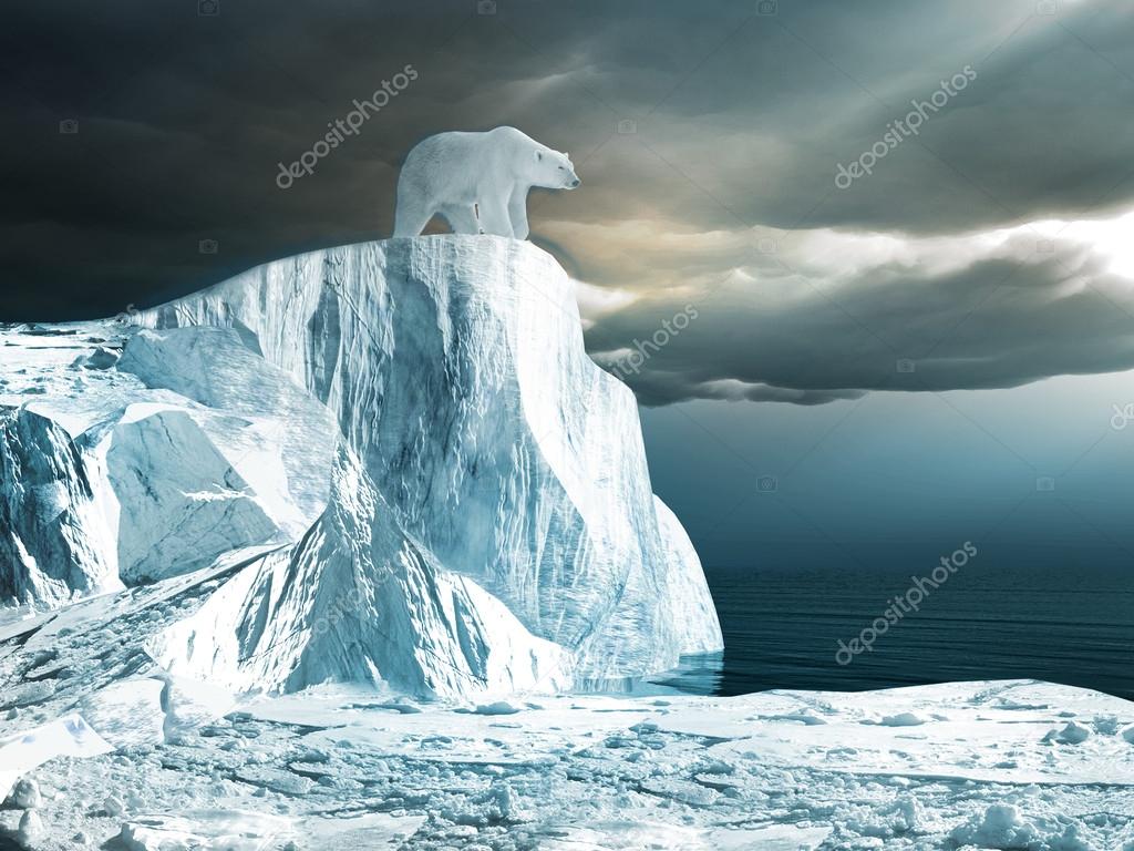 Polar bear on top of the iceberg