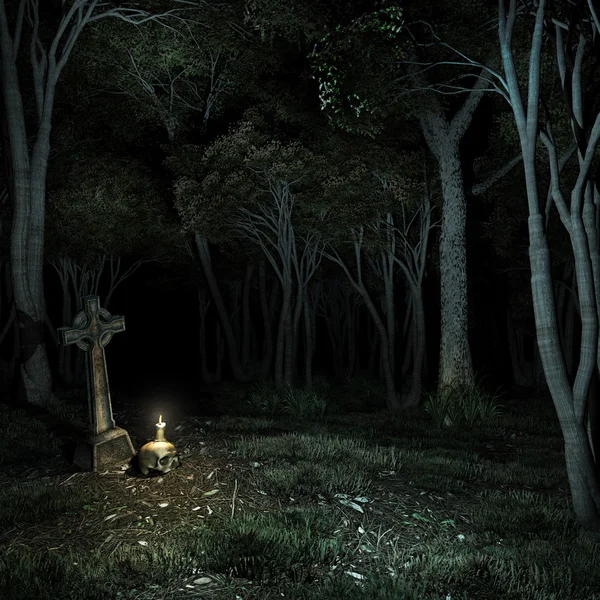 Night in the dark forest — Stock Photo, Image