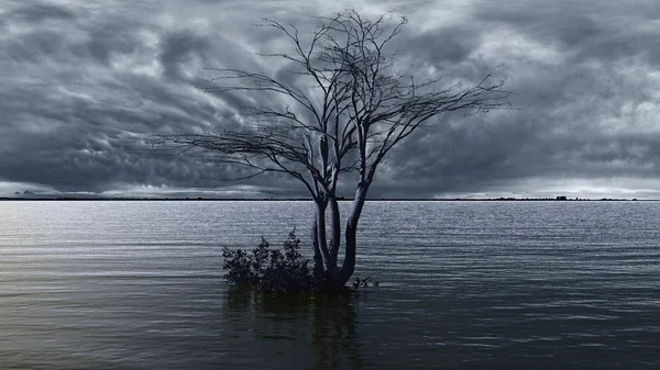 Ağacı orta göl üzerinde — Stok fotoğraf