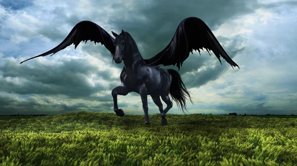 Fantasy winged horse — Stock Photo, Image