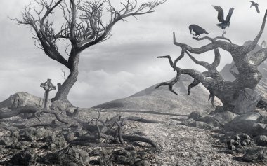 tepe üzerinde ölü ağaçlar