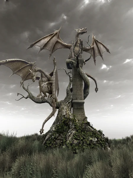 Dragons on a gnarled tree — Stock Photo, Image