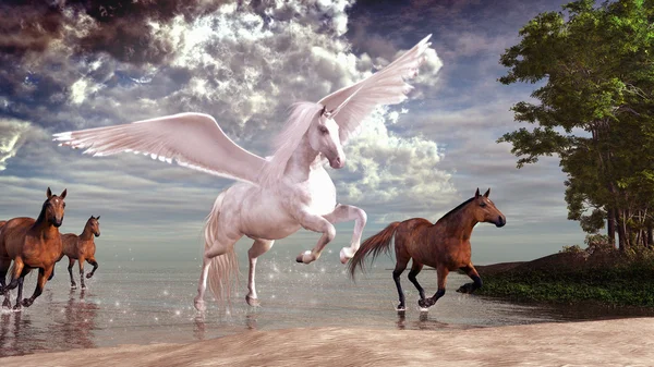 Pegasus und Pferde — Stockfoto