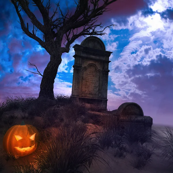 Old grave under the tree — Stock Photo, Image