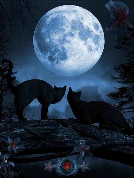 Nattelandskab Med Katte Træer Måne - Stock-foto