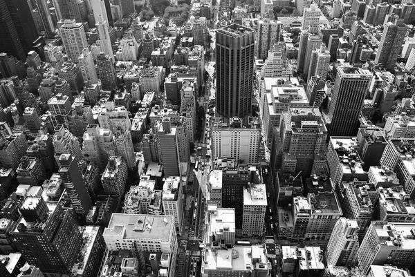 Zwart-wit panorama van de new york city Stockafbeelding