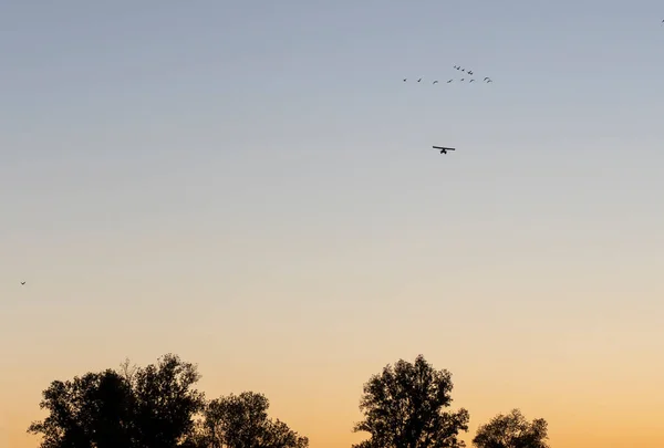 Wasserflugzeug Fliegt Bei Sonnenuntergang Über Den Cremona Italien — Stockfoto