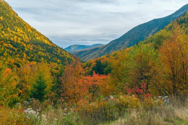 Crawford Notch Eyalet Parkı sonbaharda. US Route 302 'de. New Hampshire 'da. ABD